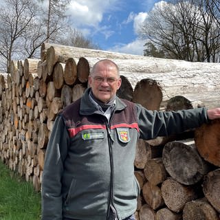 Forstamtsleiter Michael Weber neben einem alten Holzstapel bei Weyerbusch im Westerwald.