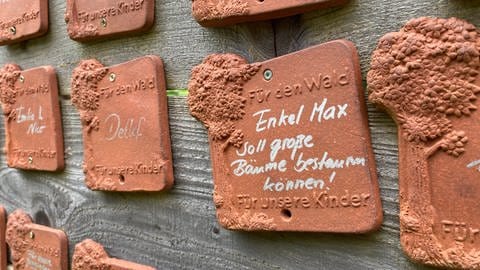 Tontafeln an einer Wand im Wald in Höhr-Grenzhausen