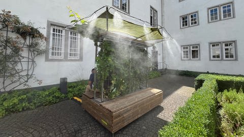 Im Innenhof des Rathauses in Koblenz stehen zwei Mobile Vertikale Gärten. Auf Knopfdruck kommt aus den daran angebrachten Düsen ein feiner Sprühnebel.