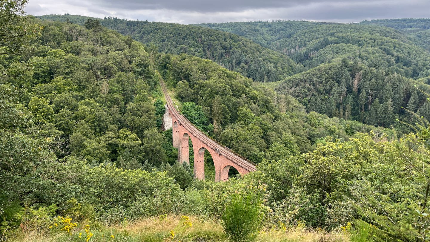 Hubertus-Viadukt umgeben von Wäldern des Hunsrücks
