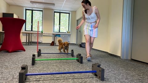 Ein Hund läuft über eine Reihe von Hürden, daneben steht eine junge Frau. Die Studentin Wiebke Hüls durchläuft mit dem Pekinese-Cockerspaniel-Mix Little Joe einen Parcours. 