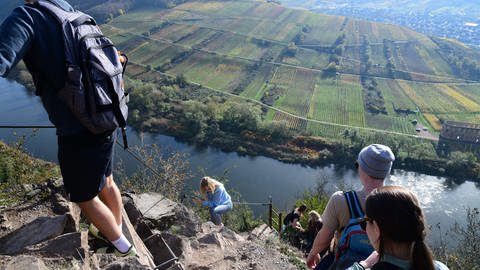 Eine Gruppe von Wanderern klettert im Sommer den Klettersteig am Calmont