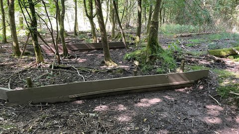 Mit solchen Holzbohlen wurden alte Entwässerungsgräben im Wald verschlossen.