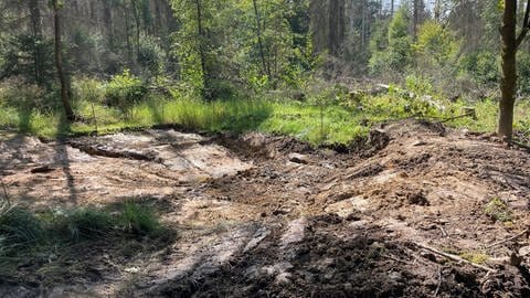 Im Wald wurden mehrere große Becken ausgegraben, wo sich künftig Wasser sammeln soll.