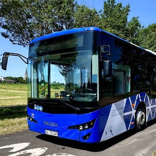 Ein blauweißer Bus steht auf der Straße