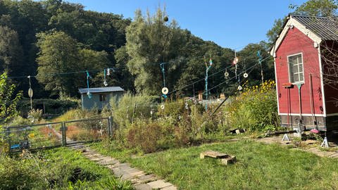 Ein Kleinod mit Tieren, Biotop und Nutzgärten in Bad Bodendorf an der Ahr: der Schwanenteich.