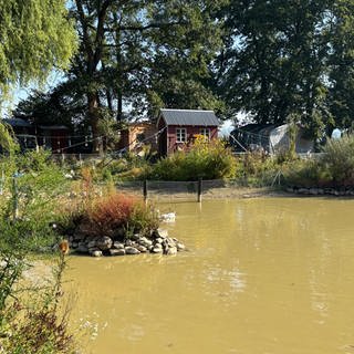 Ein Kleinod in Bad Bodendorf an der Ahr: der Schwanenteich.