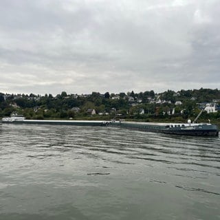 Dieser Schubverband ist im Rhein bei Remagen auf Grund gelaufen.