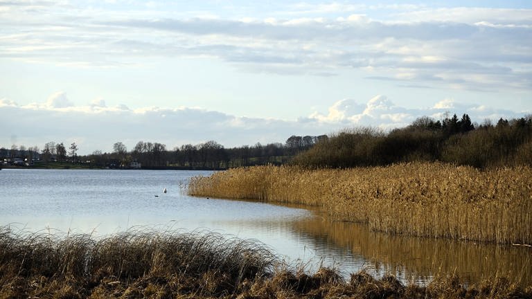 Dreifelder Weiher im Westerwald im Herbst