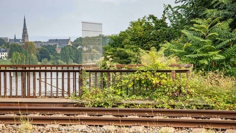 Der Radweg auf der Horchheimer Brücke in Koblenz ist an vielen Stellen nur 1,50 Meter breit. Jetzt soll er breiter werden.