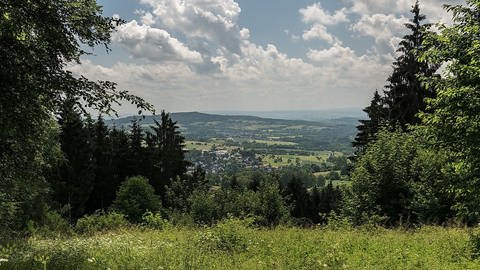 Ein Weitblick über Bäume, Wald, Felder und Hügel 