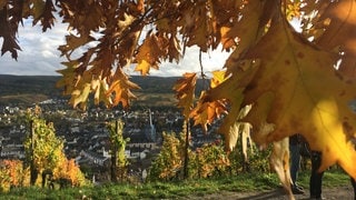 Bad Neuenahr-Ahrweiler im Herbst