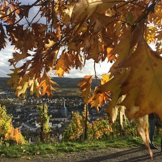 Bad Neuenahr-Ahrweiler im Herbst