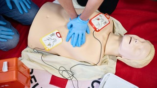 Ausbildung von Ersthelfern: Mit einer Puppe wird die Reanimation mit Hilfe eine Defibrillators geübt