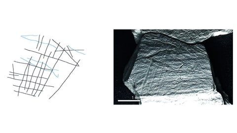 Mehr als 15.000 Jahre alte Gravuren über Fischfang auf Schieferplatten aus Neuwied.