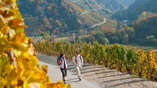 Ein Mann und eine Frau wandern im Ahrtal: Ein internationales Reisemagazin empfiehlt für 2025 eine Reise ins Ahrtal.