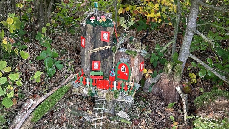 Eines der Wichtelhäuschen am Wichtelweg am Rodder Maar hängt 2024 in einem Baum. 