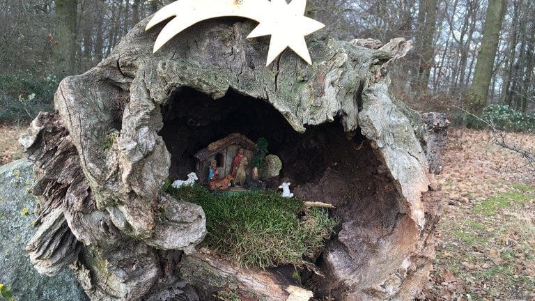 Eine Krippe in einem alten, ausgehöhlten Baumstumpf im Wald bei Kell. 