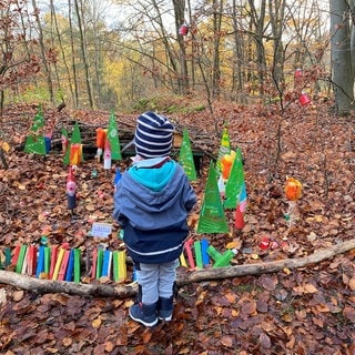 Ein Kind steht im Wald bei Kottenheim vor einer Gruppe von Wichtelfiguren: Der Wichtelweg ist ein beliebtes Ziel für Ausflüge mit Kindern im Advent. 