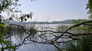 Laacher See