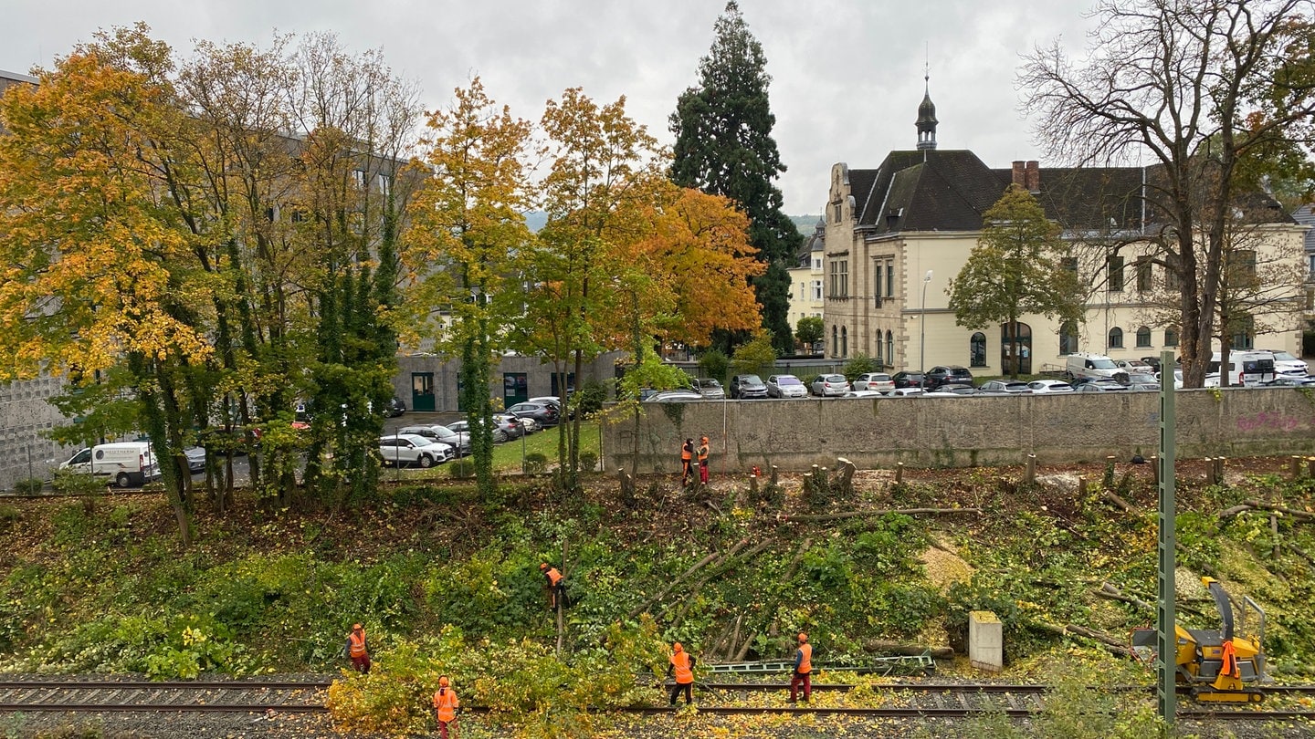 In Ahrweiler haben Arbeiter im Auftrag der Bahn Bäume an den Gleisen gefällt. Die Kreisverwaltung hat die Arbeiten gestoppt, denn eine Genehmigung lag noch nicht vor.