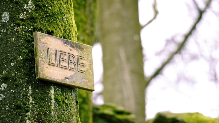 Ein Schild mit der Aufschrift "Liebe" am Wanderweg am Malberg zwischen Ötzingen und Moschheim im Westerwald.