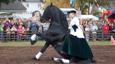 Eine Frau in einem weiß-grünen Reitkleid zeigt auf einem schwarzen Pferd eine Dressur-Figur beim Pferdemarkt in Mayen. 