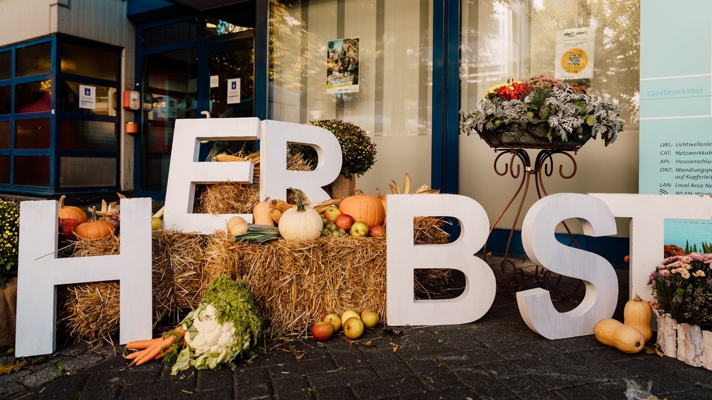 Kürbise mit großen Buchstaben davor, auf denen 