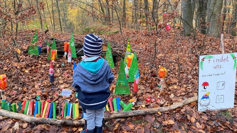 Ein Kind steht im Wald bei Kottenheim vor einer Gruppe von Wichtelfiguren: Der Wichtelweg ist ein beliebtes Ziel für Ausflüge mit Kindern im Advent. 