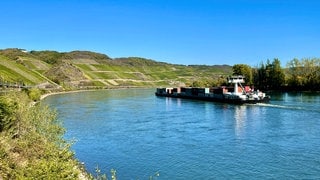 Die Weinlage Bopparder Hamm am Mittelrhein