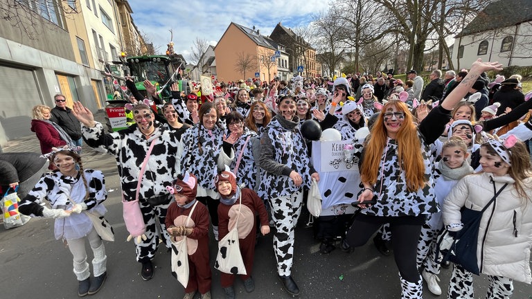 Rosenmontag 2024 in Linz am Rhein: Viele als Kühe verkleidete junge und ältere Menschen 