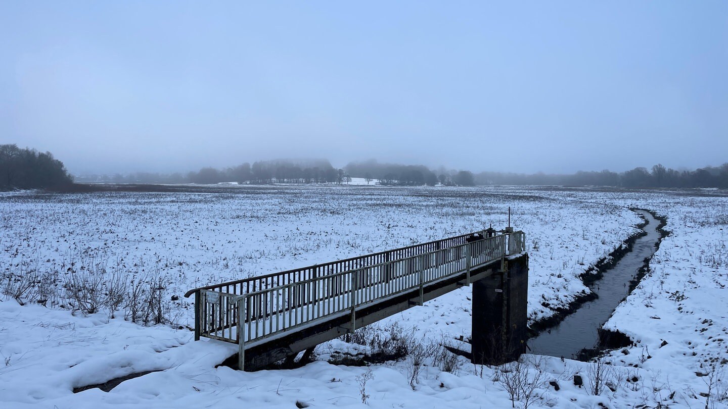 Seit fast zwei Jahren liegt der Wiesensee im Westerwald schon trocken.