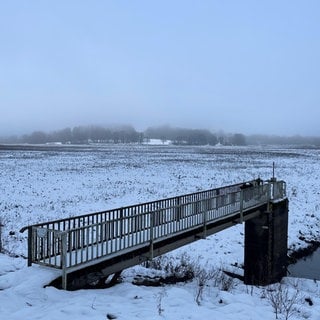 Seit fast zwei Jahren liegt der Wiesensee im Westerwald schon trocken.