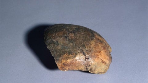 Dieses Schädelfragment wurde als "Neanderthaler von Ochtendung" bekannt und galt 1997 ein Sensationsfund in Rheinland-Pfalz.