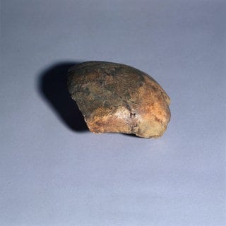 Dieses Schädelfragment wurde als "Neandertaler von Ochtendung" bekannt und galt 1997 ein Sensationsfund in Rheinland-Pfalz.