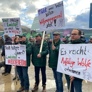 Landwirte demonstrieren am 29.11.2024 am Rande der Umweltministerkonferenz im Ahrtal, unter anderem gegen Wölfe