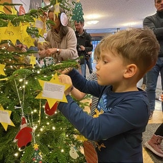 Kinder hängen Wunschsterne von Hilfsbedürftigen an den Caritas-Wunschbaum.