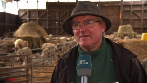 Schafzüchter Werner Neumann aus Neuwied Heimach-Weis findet, dass der Wolf sofort abgeschossen werden sollte.