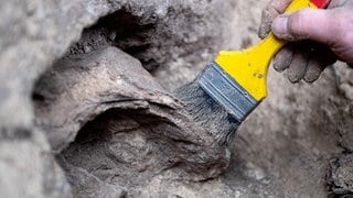 Archäologen legen Knochenreste eines Neandertalers frei (Symbolbild). Ein Archäologe des Landes RLP steht im Verdacht, seine Forschungsergebnisse gefälscht zu haben.