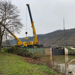 Kran soll Tore der zerstörten Mosel-Schleuse bei Müden herausheben.