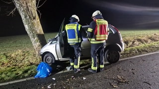 Ein Autofahrer ist mit seinem Wagen frontal gegen einen Baum geprallt (Bild: SWRWinkler TV)