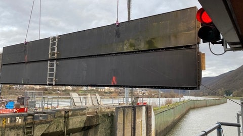 Zwei aneinander geschweißte Dammbalken: Damit es schneller geht mit den Notschleusungen nach der Havarie in der Mosel-Schleuse in Müden hat das Wasser- und Schifffahrtsamt zwei Elemente zusammengeschweißt.