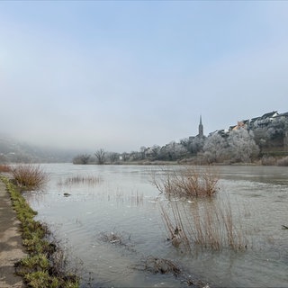 Die Mosel bei Dieblich im Winter.