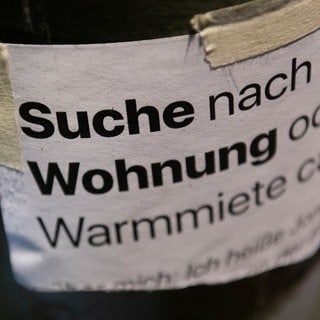 Mit einer Anzeige an einer Laterne sucht jemand nach einer Wohnung - Wohnungsnot ist ein großes Thema zur Kommunalwahl RLp 2024. Wohnungssuche wird vor allem in Städten immer schwieriger