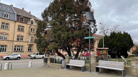 Kardinal-Wetter-Platz in Landau