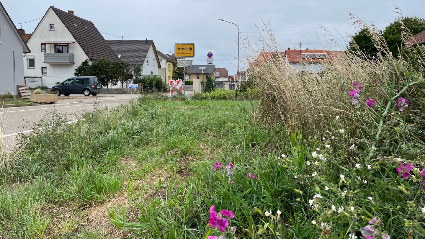 Nach Rücktritt In Freisbach: Wahlliste Für Gemeinderat Steht - SWR Aktuell