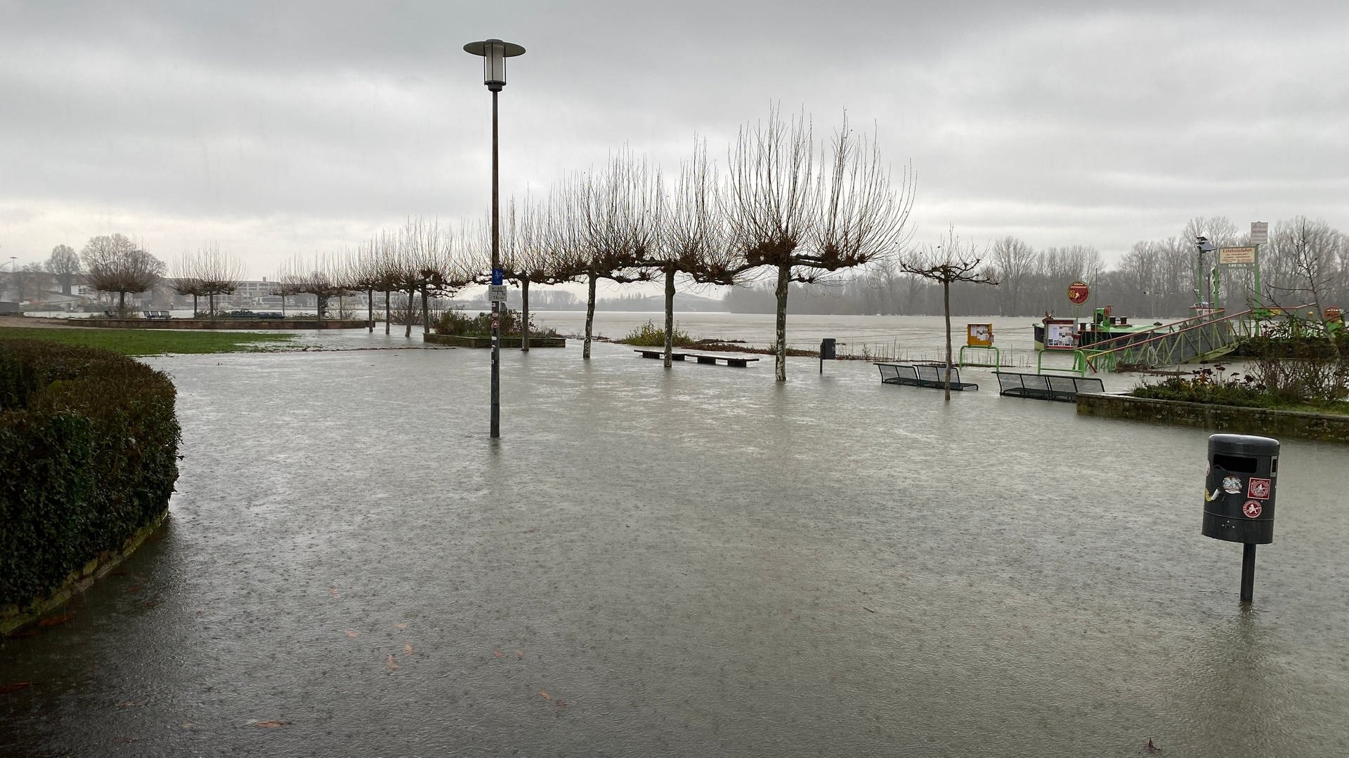 Speyer: Hochwasser hat Uferpromenade am Rhein erreicht