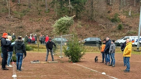 Knutfest In Weidenthal: Weltmeisterschaft Im Weihnachtsbaumwerfen - SWR ...