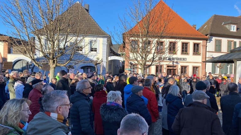 Proteste In Der Pfalz Gegen AfD-Infostände - Landesschau Rheinland ...