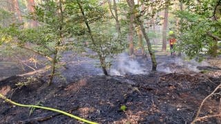 Die Freiwillige Feuerwehr Hagenbach löscht einen Waldbrand bei Berg in der Südpfalz
